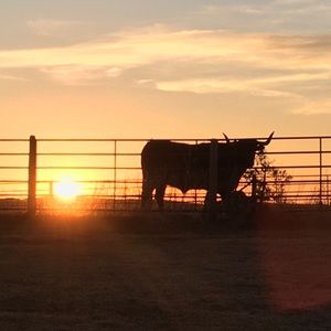 Meet your Posher, Bradie